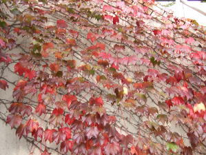 c0023545_2353647.jpg
