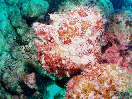 d0065247_23192918.jpg