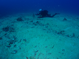 d0065247_23211445.jpg