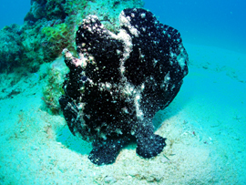d0065247_2322780.jpg