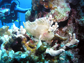 d0065247_812451.jpg