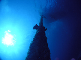 d0065247_86239.jpg