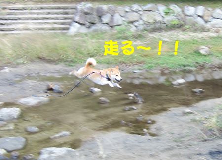 e0085147_1121862.jpg