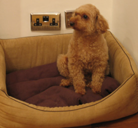 e0086048_0202350.jpg