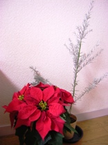 c0081552_9443067.jpg