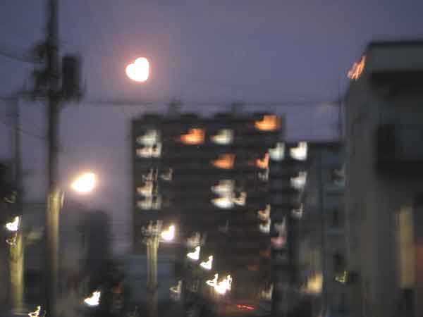 d0006253_22273767.jpg