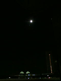 c0098756_0412764.jpg