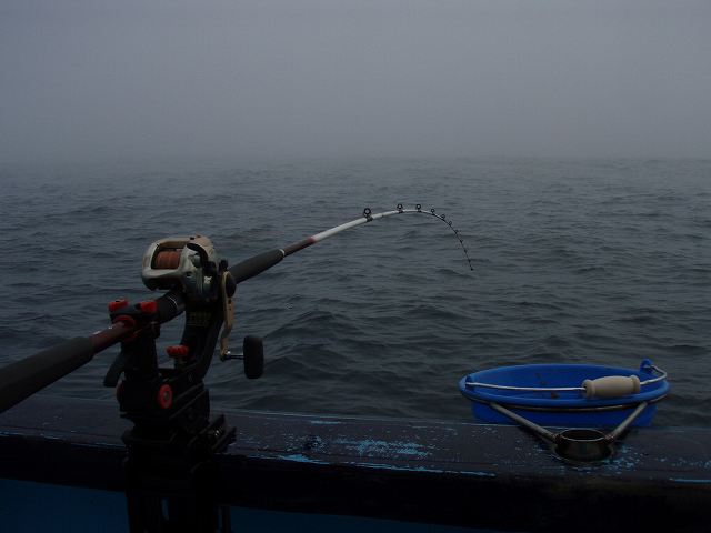 f0073059_21191053.jpg