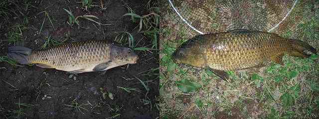 f0073059_2273731.jpg