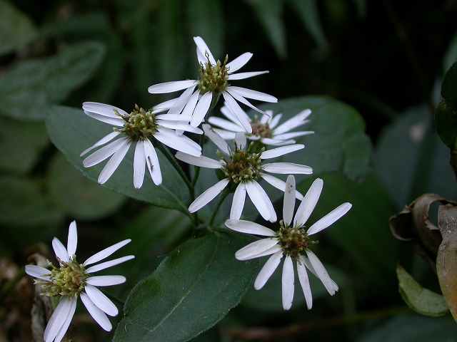 b0104861_2211568.jpg