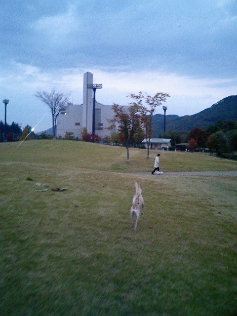 f0046262_21123836.jpg