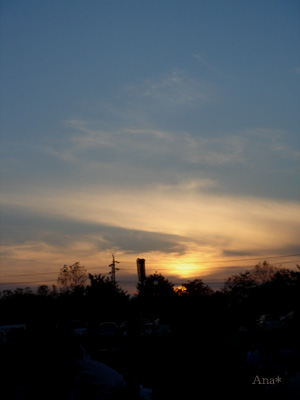 a0063963_1485752.jpg