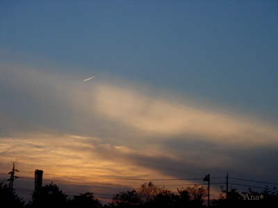 a0063963_149579.jpg