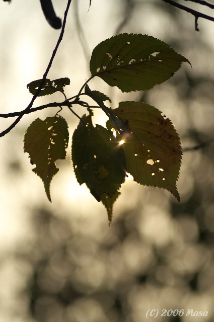 f0063363_16381660.jpg