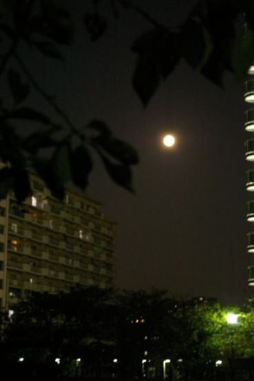 f0077663_129210.jpg