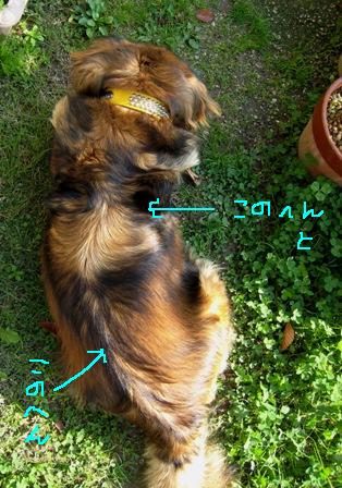 e0015964_236230.jpg