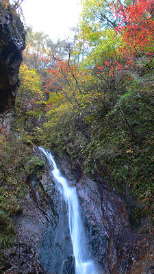 c0041071_94115.jpg