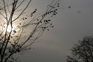 a0018572_1314530.jpg