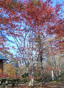 a0092074_17381254.jpg