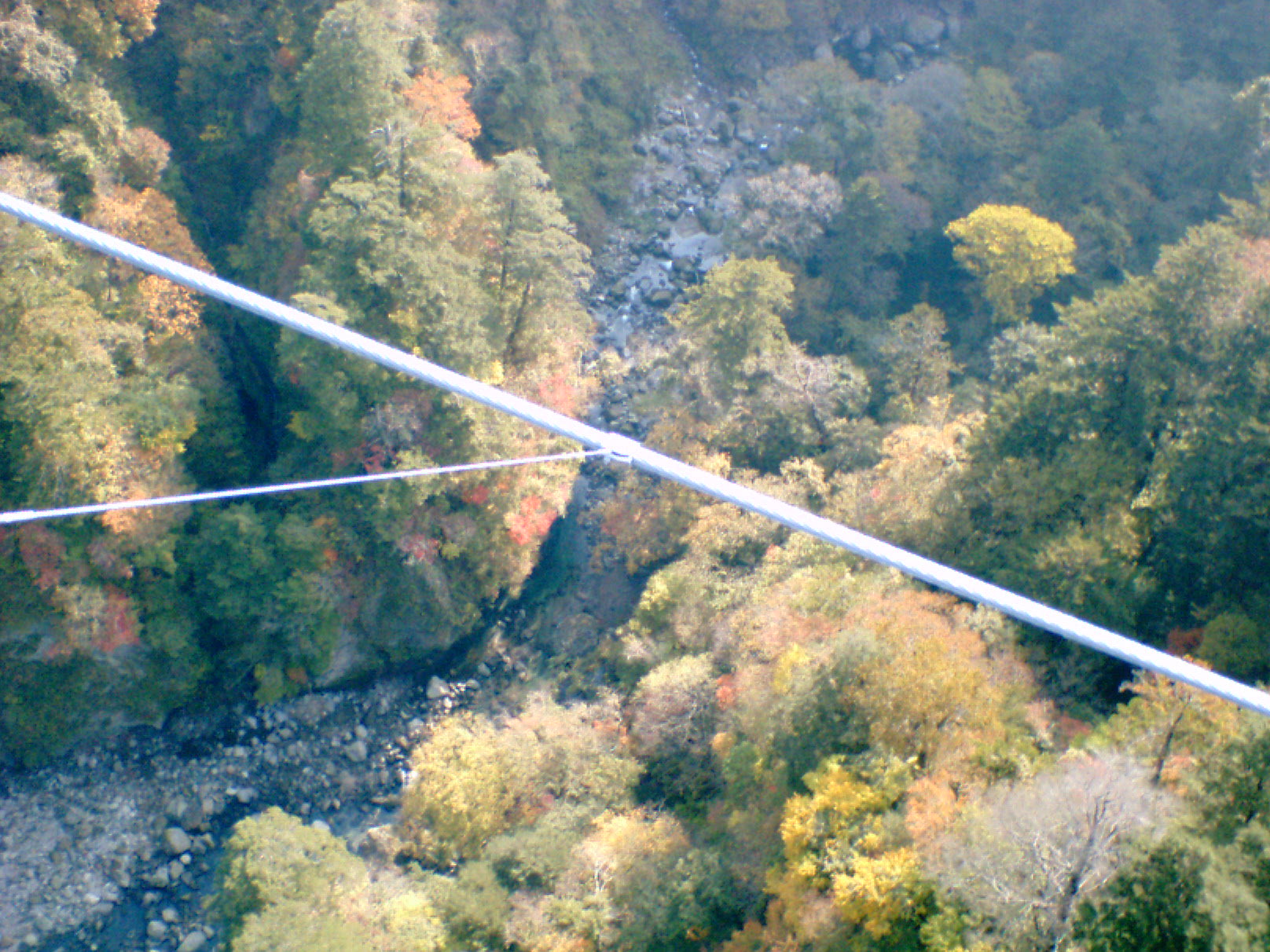 c0060076_22291692.jpg