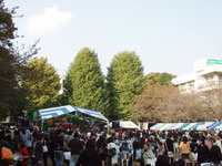 a0091577_032332.jpg
