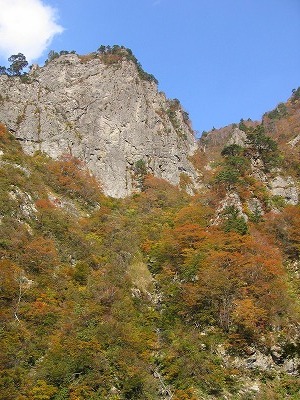 a0038882_11243668.jpg