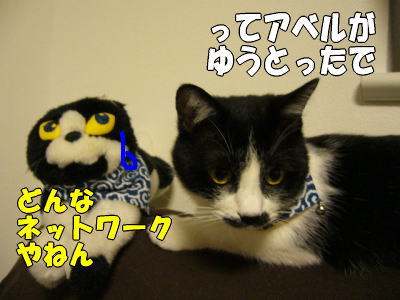 b0041182_18304129.jpg