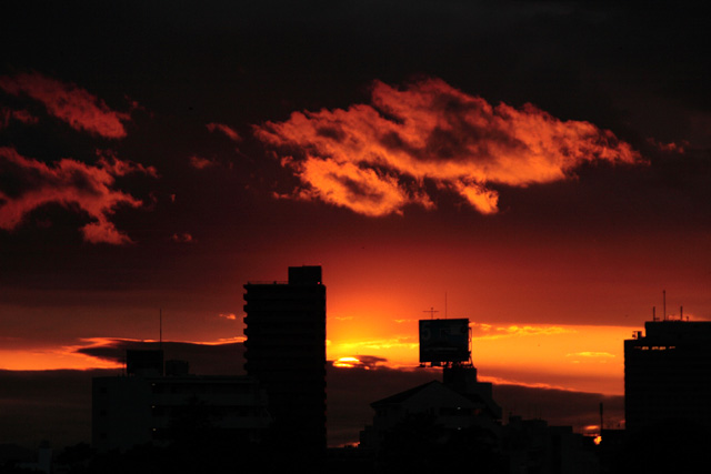 b0067789_20445769.jpg