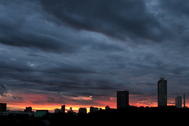 b0067789_20454887.jpg