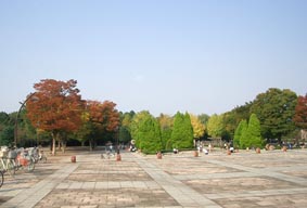 f0022292_23373932.jpg