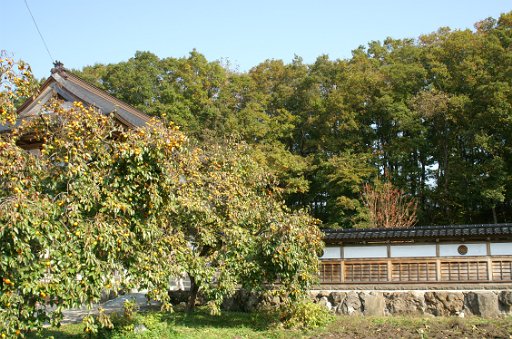 f0064192_22464184.jpg