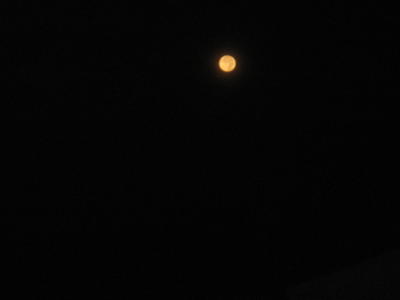f0047693_18412984.jpg