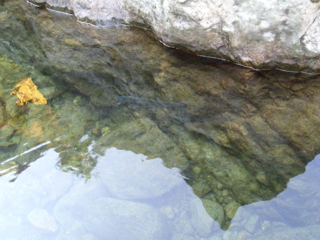 b0092694_2340479.jpg