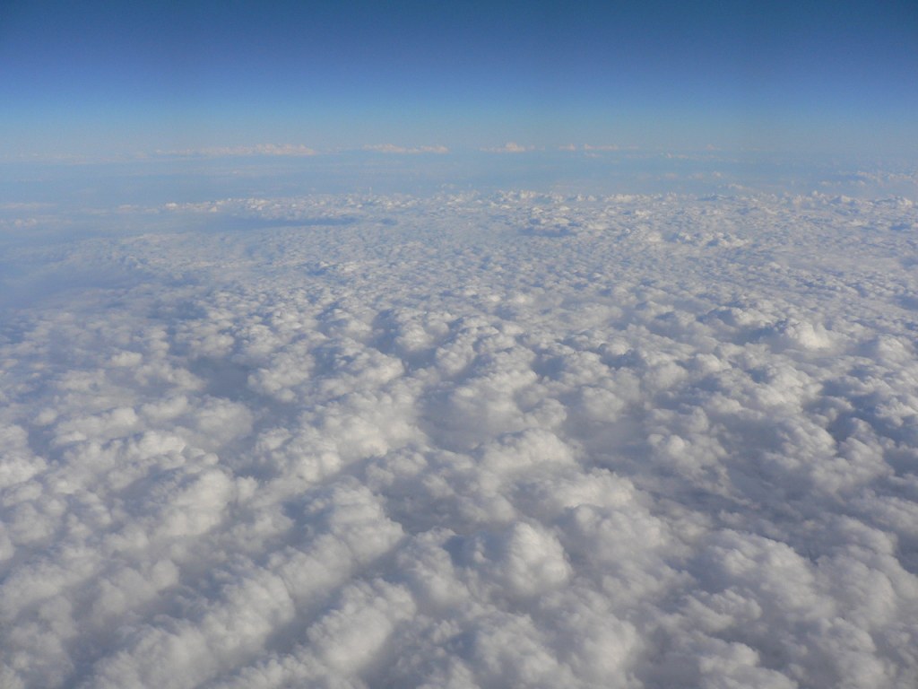 d0088196_923910.jpg