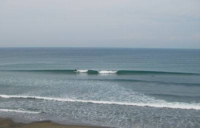 a0079098_1721266.jpg