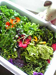 e0037001_22192178.jpg
