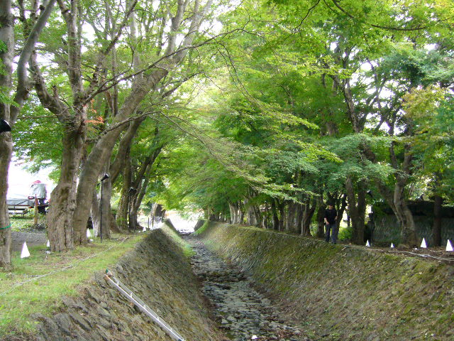 d0070702_23314194.jpg