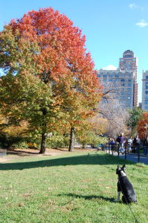 e0039002_12114475.jpg