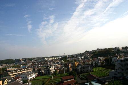 c0011204_2330401.jpg
