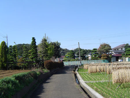 c0011204_23331475.jpg
