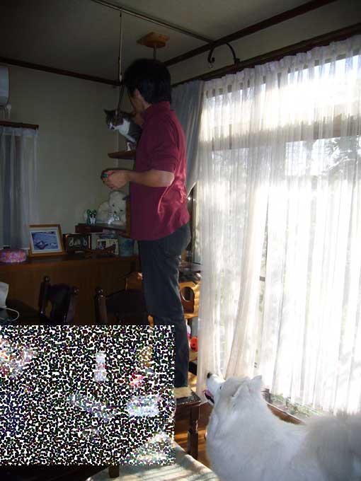 e0018604_1359639.jpg
