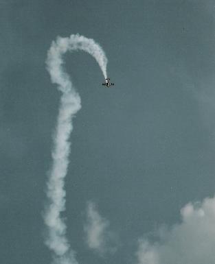 c0049105_945458.jpg