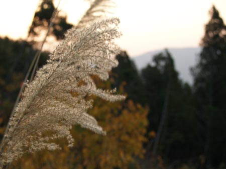 a0041508_228275.jpg