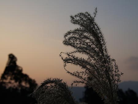 a0041508_22842100.jpg