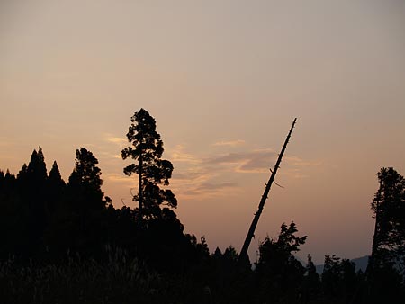a0041508_2291976.jpg
