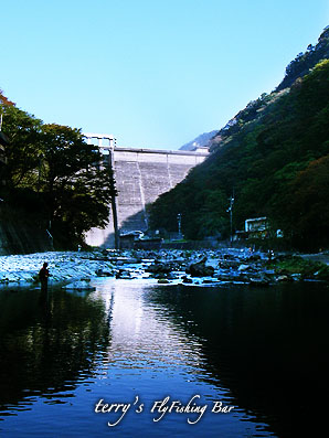 e0009009_70561.jpg