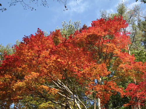 b0046210_10321510.jpg
