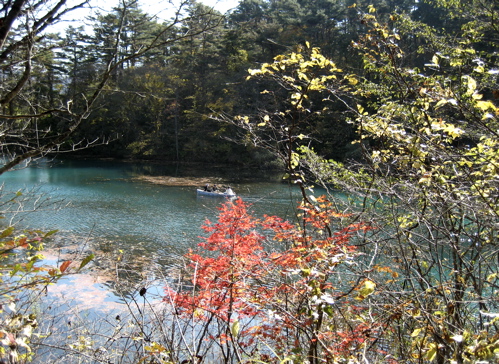 b0046210_2241388.jpg
