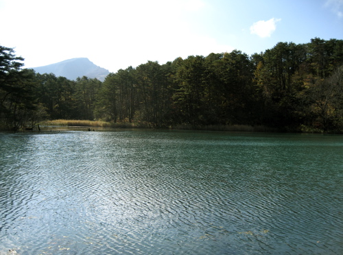 b0046210_2241415.jpg