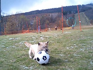 e0078510_19263982.jpg